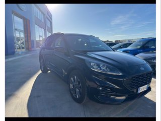 FORD Kuga 1.5 ecoblue st-line x 2wd 120cv auto