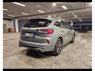 FORD Kuga 1.5 ecoblue st-line x 2wd 120cv auto