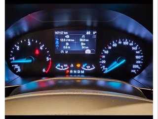FORD Focus active sw 1.5 ecoblue v co-pilot s&s 120cv auto