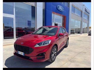 FORD Kuga 1.5 ecoblue st-line 2wd 120cv auto