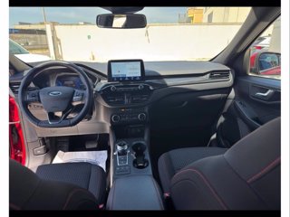 FORD Kuga 1.5 ecoblue st-line 2wd 120cv auto