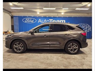 FORD Kuga 2.0 ecoblue st-line 2wd 120cv auto