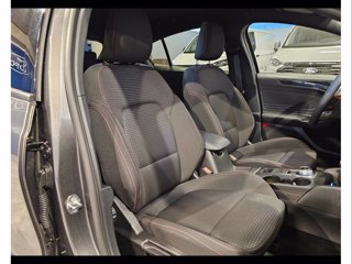 FORD Focus 1.5 ecoblue st-line 115cv auto