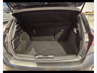 FORD Focus 1.5 ecoblue st-line 115cv auto