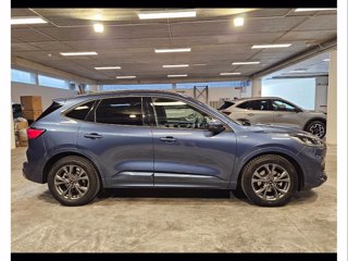 FORD Kuga 1.5 ecoblue st-line 2wd 120cv