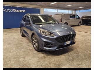 FORD Kuga 1.5 ecoblue st-line 2wd 120cv auto