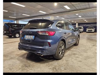 FORD Kuga 2.0 ecoblue st-line 2wd 120cv auto