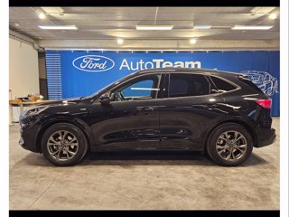 FORD Kuga 1.5 ecoblue st-line x 2wd 120cv auto