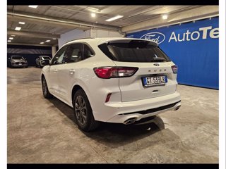 FORD Kuga 2.0 ecoblue st-line 2wd 120cv auto