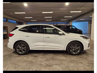 FORD Kuga 2.0 ecoblue st-line 2wd 120cv auto