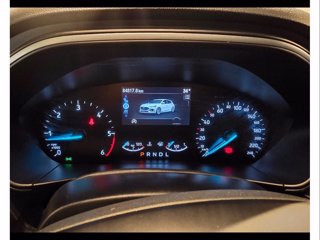 FORD Focus 1.5 ecoblue st-line 120cv auto