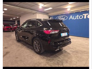 FORD Kuga 1.5 ecoblue st-line 2wd 120cv auto