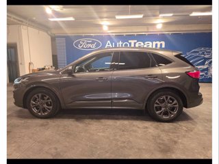 FORD Kuga 2.0 ecoblue st-line 2wd 120cv auto
