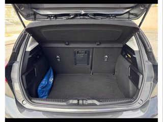 FORD Focus active 1.5 ecoblue x 115cv auto