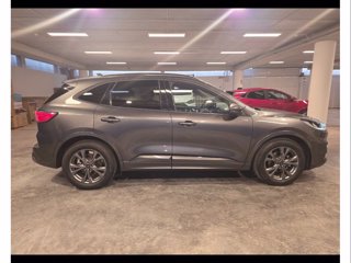 FORD Kuga 2.0 ecoblue st-line 2wd 120cv auto