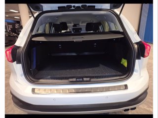 FORD Focus active sw 1.5 ecoblue co-pilot s&s 120cv auto