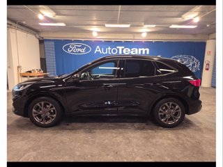 FORD Kuga 1.5 ecoblue st-line 2wd 120cv