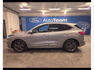 FORD Kuga 1.5 ecoblue st-line 2wd 120cv auto