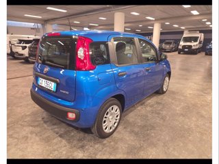 FIAT Panda 1.0 firefly hybrid s&s 70cv 5p.ti