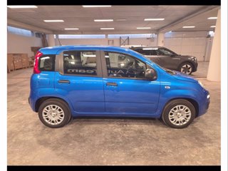 FIAT Panda 1.0 firefly hybrid s&s 70cv 5p.ti