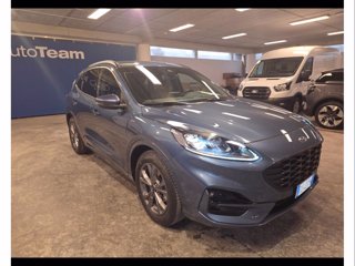 FORD Kuga 1.5 ecoblue st-line x 2wd 120cv auto