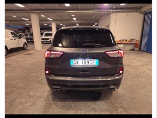 FORD Kuga 1.5 ecoblue st-line 2wd 120cv