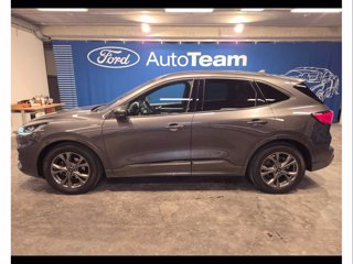 FORD Kuga 1.5 ecoblue st-line 2wd 120cv