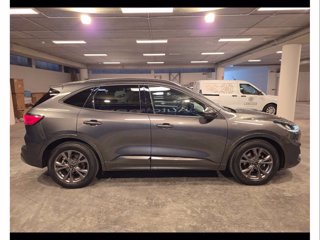 FORD Kuga 1.5 ecoblue st-line 2wd 120cv