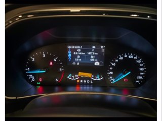 FORD Focus 1.5 ecoblue st-line 115cv auto
