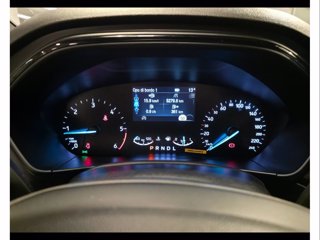 FORD Focus 1.5 ecoblue st-line 115cv auto