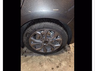 FORD Focus 1.5 ecoblue st-line 115cv auto