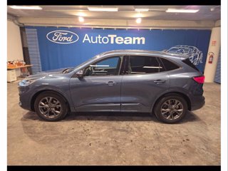 FORD Kuga 1.5 ecoblue st-line x 2wd 120cv auto