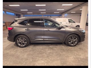 FORD Kuga 2.0 ecoblue st-line 2wd 120cv auto