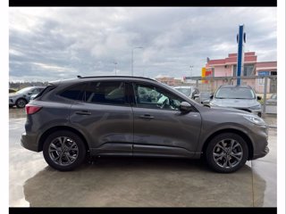 FORD Kuga 2.0 ecoblue st-line x 2wd 120cv auto