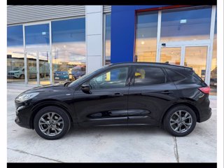 FORD Kuga 1.5 ecoblue st-line 2wd 120cv auto