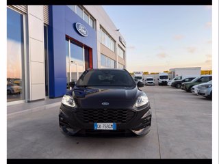 FORD Kuga 1.5 ecoblue st-line x 2wd 120cv auto