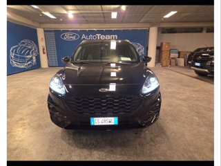 FORD Kuga 2.0 ecoblue st-line 2wd 120cv auto