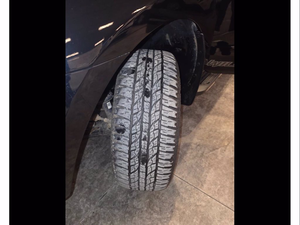 FORD Ranger 2.0 ecoblue double cab wildtrak 213cv auto