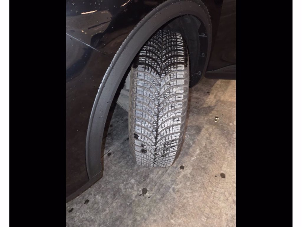 FORD Kuga 1.5 ecoblue titanium business 2wd 120cv auto