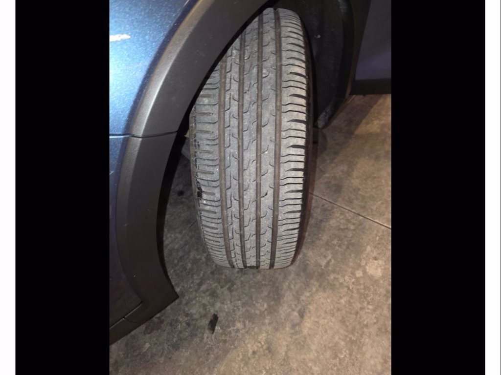 FORD Focus active 1.0t ecoboost h 125cv