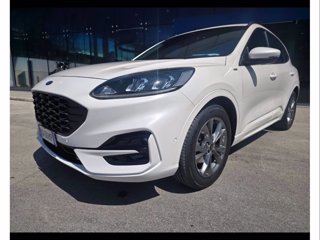 FORD Kuga 1.5 ecoblue st-line 2wd 120cv auto