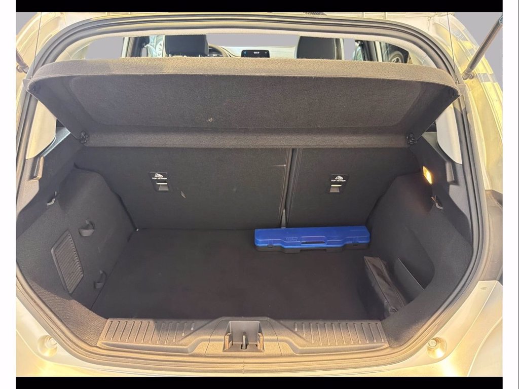 FORD Fiesta 5p 1.1 plus gpl 75cv
