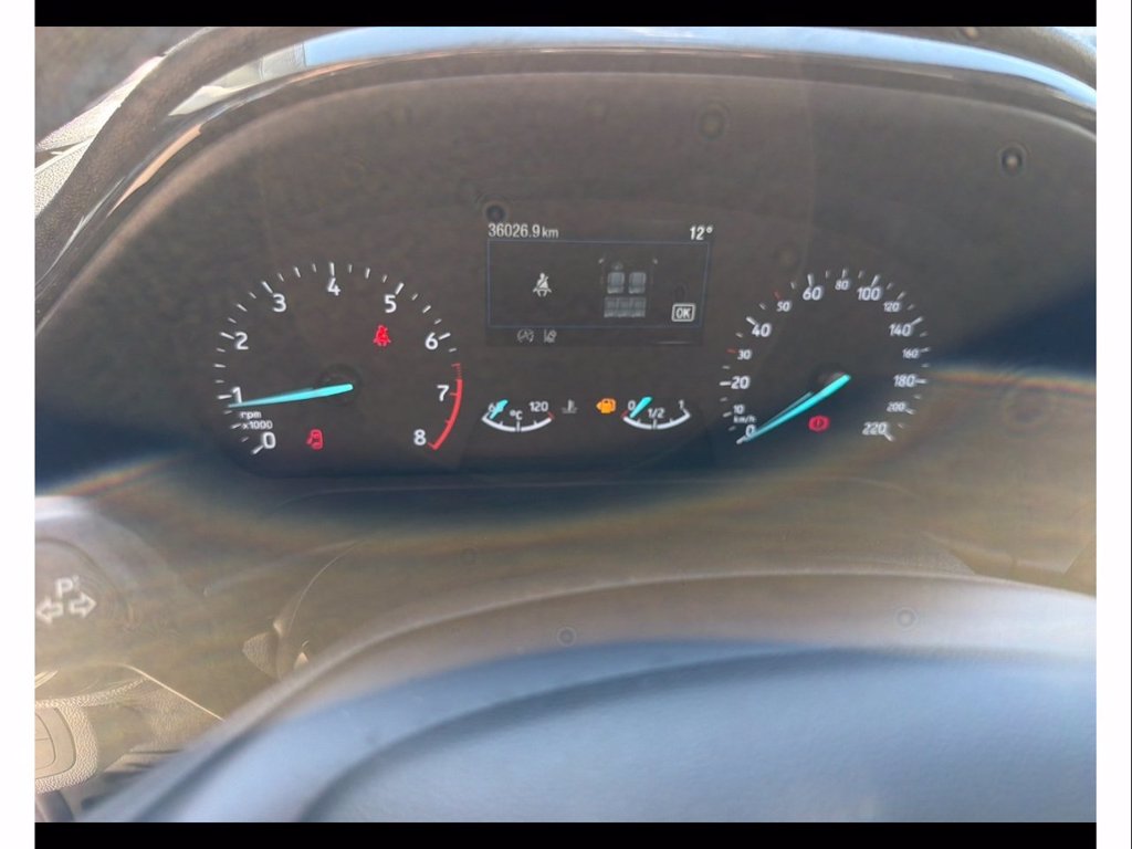 FORD Fiesta active 1.0 ecoboost h 125cv
